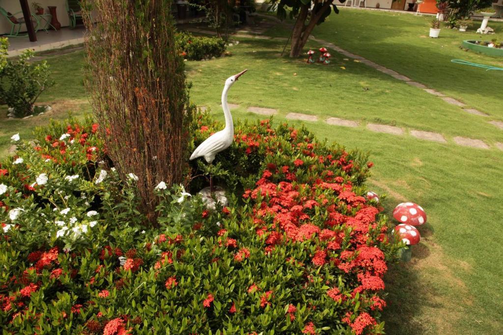 Hotel Jardim Форталеза Екстер'єр фото