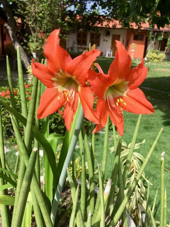 Hotel Jardim Форталеза Екстер'єр фото